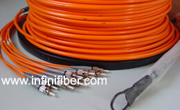 Multi Fiber Optic Cable Assemblies